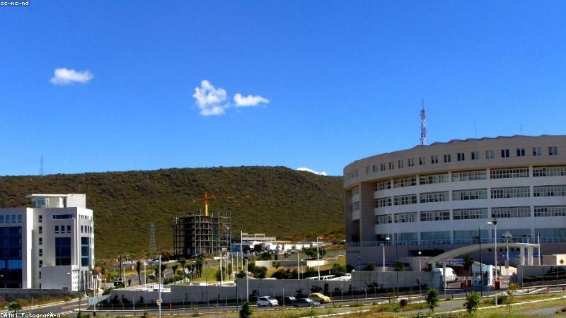 91网页高转化企业官网首页设计效果展示